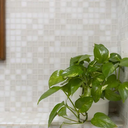 Appartement Ardiglione Flat *