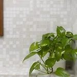 Appartement Ardiglione Flat *